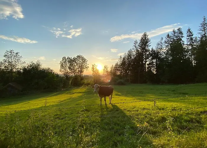 Am Kleinen Willa Benediktbeuern