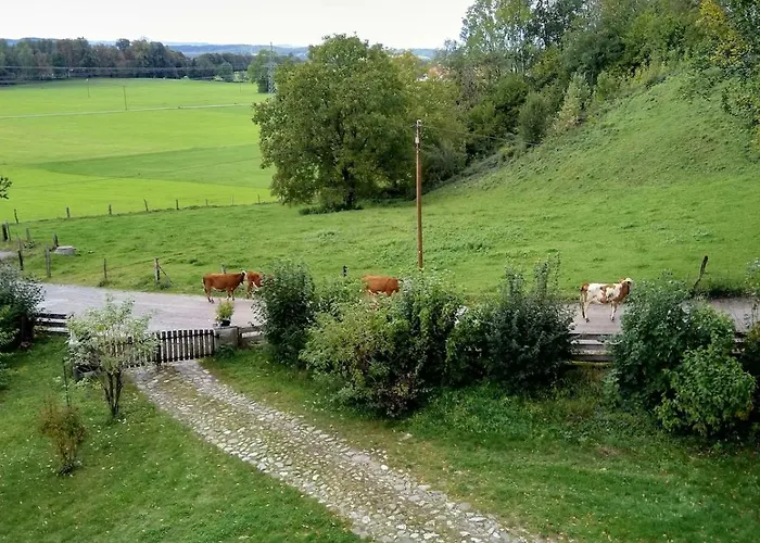 Am Kleinen Willa *